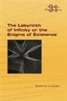 Stathis Livadas - The Labyrinth of Infinity or the Enigma of Existence