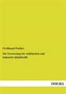 Ferdinand Fischer - Die Verwertung der städtischen und Industrie-Abfallstoffe