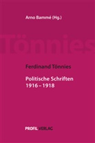 Ferdinand Tönnies, Arno Bammé - Ferdinand Tönnies: Politische Schriften 1916 - 1918