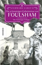 Edward Carey - Die schmutzigen Geheimnisse von Foulsham