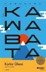 Yasunari Kawabata - Karlar Ülkesi
