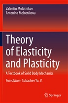 Valentin Molotnikov, Antonina Molotnikova - Theory of Elasticity and Plasticity