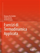 Romano Borchiellini, Giulia Grisolia, Umber Lucia, Umberto Lucia - Esercizi di Termodinamica Applicata