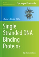 Marcos T. Oliveira, Marcos T Oliveira - Single Stranded DNA Binding Proteins