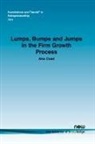 Alex Coad - Lumps, Bumps and Jumps in the Firm Growth Process