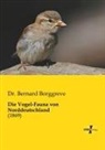 Bernard Borggreve, Dr Bernard Borggreve - Die Vogel-Fauna von Norddeutschland