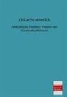 Oskar Schlömilch - Analytische Studien: Theorie der Gammafunktionen