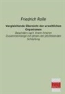 Friedrich Rolle - Vergleichende Übersicht der urweltlichen Organismen