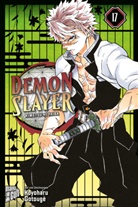 Koyoharu Gotouge - Demon Slayer - Kimetsu no Yaiba 17