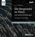 E T A Hoffmann, E.T.A. Hoffmann, Hugo R. Bartels - Die Bergwerke zu Falun und andere Erzählungen, 1 Audio-CD, 1 MP3 (Audio book)