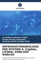 Armando Adolfo Ortega-Salas, Serg Rendón Rodríguez, Sergio Rendón Rodríguez, Ian Gilberto Rendón Valdez - REPRODUKTIONSBIOLOGIE DER MYSTIDE A. trigibba, LITORAL ZONE,SÜD SINALOA