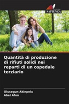 Abel Afon, Olusegun Akinpelu - Quantità di produzione di rifiuti solidi nei reparti di un ospedale terziario