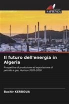 Bachir Kerboua - Il futuro dell'energia in Algeria