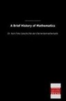 Wooster Woodruff Beman, Eugene Smith, David E. Smith, David Eugene Smith, Wooster Woodruff Beman - A Brief History of Mathematics