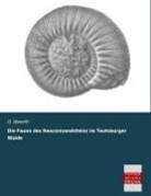 O. Weerth - Die Fauna des Neocomsandsteins im Teutoburger Walde