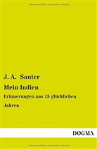J A Sauter, J. A. Sauter - Mein Indien