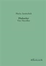Maria Janitschek - Pfadsucher