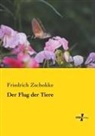 Friedrich Zschokke - Der Flug der Tiere