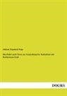 Johann N. Sepp, Johann Nepomuk Sepp - Meerfahrt nach Tyrus zur Ausgrabung der Kathedrale mit Barbarossas Grab