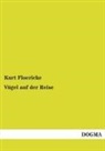 Kurt Floericke - Vögel auf der Reise