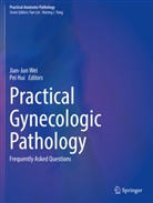 Hui, Pei Hui, Jian-Jun Wei - Practical Gynecologic Pathology