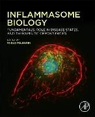 Pablo (Principal Investigator Pelegrin, Pablo Pelegrin, Pablo (Principal Investigator Pelegrin, Pelegrin Pablo - Inflammasome Biology