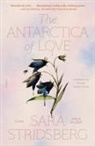 Sara Stridsberg - Antarctica of Love