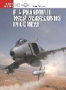 Peter E Davies, Peter E. Davies, Gareth Hector, Jim Laurier - F-4 Phantom II Wild Weasel Units in Combat