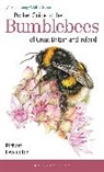 Richard Lewington, Lewington Richard - Pocket Guide to the Bumblebees of Great Britain and Ireland