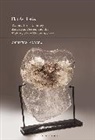Christian Moraru, Professor Christian (University of North Carolina Moraru, MORARU CHRISTIAN - Flat Aesthetics