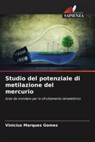 Vinícius Marques Gomes - Studio del potenziale di metilazione del mercurio