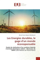 Bannel Gracia Ngoma Mamboueni - Les Energies durables, le gage d'un monde écoresponsable