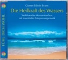 Gomer Edwin Evans - Die Heilkraft des Wassers, Audio-CD (Audio book)