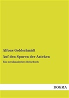Alfons Goldschmidt - Auf den Spuren der Azteken