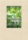 Jürgen-Thomas Ernst - Geheimnisse des Waldes