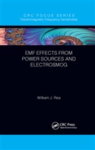 William J. Rea, William J. (Environmental Health Center Rea, Rea William J. - Emf Effects From Power Sources and Electrosmog