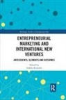 Izabela Kowalik, Izabela Kowalik - Entrepreneurial Marketing and International New Ventures