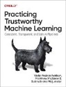 Subhabrata Majumdar, Matthew Mcateer, Yada Pruksachatkun - Practicing Trustworthy Machine Learning
