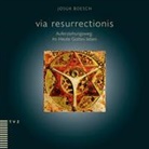 Josua Boesch - via resurrectionis