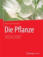 Regine Claßen-Bockhoff, Doris Franke, Maria Geyer, Martin Lay - Die Pflanze