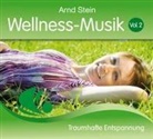 Arnd Stein, Reiner Burmann - Wellness Musik 2 (Hörbuch)