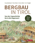 Andreas Maier, Andreas u a Maier, Georg Neuhauser, Tobias Pamer, Armin Torggler - Bergbau in Tirol