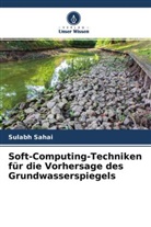Sulabh Sahai - Soft-Computing-Techniken für die Vorhersage des Grundwasserspiegels