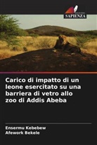 Afework Bekele, Ensermu Kebebew - Carico di impatto di un leone esercitato su una barriera di vetro allo zoo di Addis Abeba