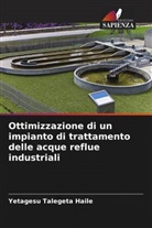 Yetagesu Talegeta Haile - Ottimizzazione di un impianto di trattamento delle acque reflue industriali