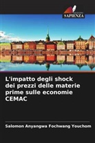 Salomon Anyangwa Fochwang Youchom - L'impatto degli shock dei prezzi delle materie prime sulle economie CEMAC
