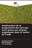 C. K. Dotaniya, Uttam Kumar, Sandeep Mohbe - Amélioration de la productivité des haricots verts grâce aux engrais organiques dans le centre de l'Inde