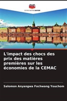 Salomon Anyangwa Fochwang Youchom - L'impact des chocs des prix des matières premières sur les économies de la CEMAC