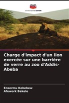 Afework Bekele, Ensermu Kebebew - Charge d'impact d'un lion exercée sur une barrière de verre au zoo d'Addis-Abeba