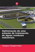 Yetagesu Talegeta Haile - Optimização de uma estação de tratamento de águas residuais industriais